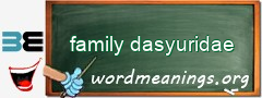 WordMeaning blackboard for family dasyuridae